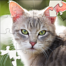 HD Jigsaw Puzzles Sorting Game APK
