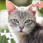 HD Jigsaw Puzzles Sorting Game icône