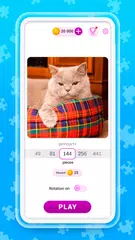 Jigsaw Puzzle Masters HD XAPK Herunterladen