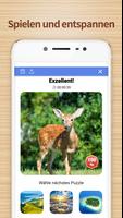 Jigsaw Puzzles: Puzzle Spiel Screenshot 3