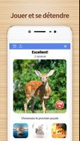 Jigsaw Puzzles: Jeux Puzzle capture d'écran 3