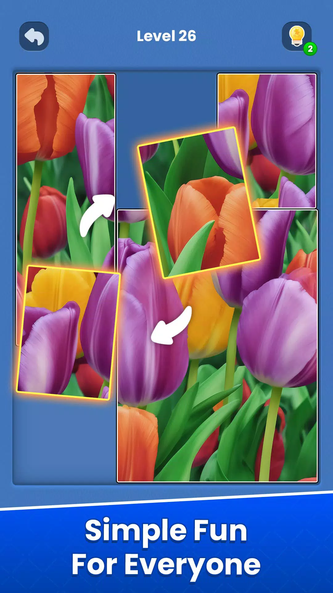 Solitaire Jigsaw Puzzle