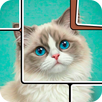 Jigsaw Solitaire Motion Puzzle APK