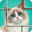 Jigsaw Solitaire Motion Puzzle icon
