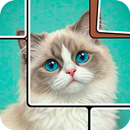 Jigsaw Solitaire Motion Puzzle APK