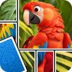Jigsaw Card: Puzzle Game APK