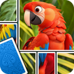 Jigsaw Card: Puzzle Game icon