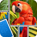 Jigsaw Card: Puzzle Game APK
