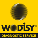Wodisy Remote Diagnostic Servi APK