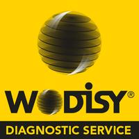 Wodisy Remote Diagnostic Servi poster