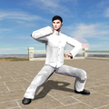3D Baji Quan