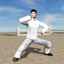 3D Baji Quan APK