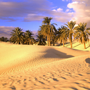 APK Desert Wallpapers