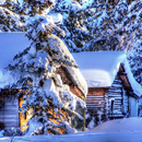 APK Alaska Wallpaper