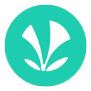 JioSaavn - Music & Podcasts APK