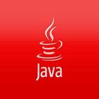 Java Interview Questions ícone