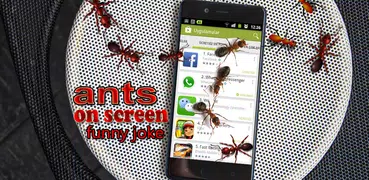 Hormigas en pantalla de broma