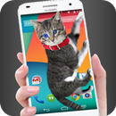 Katze geht im Handy süßer Witz APK