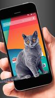 Katze geht im Handy süßer Witz Plakat