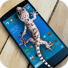 Lizard  on phone  prank icône