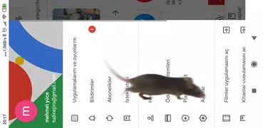 Mouse in phone screen joke
