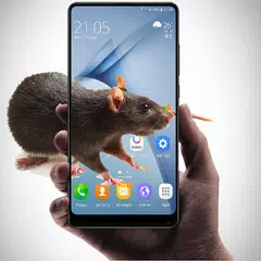Скачать Mouse in phone screen joke APK