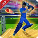 Cricket 2019 : Real World Cup APK