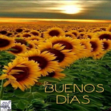 Buenos dias gif 2023