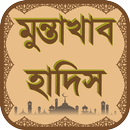 মুন্তাখাব হাদিস নির্বাচিত APK