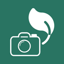 Jiva Snapper APK