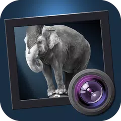 Baixar Dramatic Black & White APK