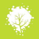 APK 메이플 스킬나무 for Maple