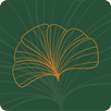 Kashali APK