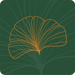 Kashali icon