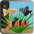 Aquarium Fish icono