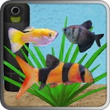 Aquarium Fish simgesi