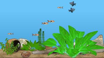 Aquarium Fish 포스터