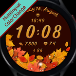JK_37 [Watch Face] Autumn