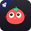 番茄加速器 - 海外华人回国追剧听歌游戏必备 APK
