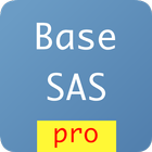 Base SAS Practice Exam Pro icône