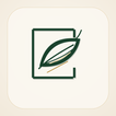 HaljasVaade icon