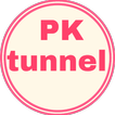 PK Tunnel