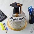 Graduation Cakes Decorating