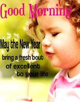 Good Morning Images 2019 постер