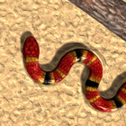 Real Snake ícone