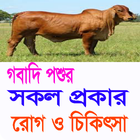 গবাদি পশুর সকল প্রকার রোগ ও চিকিৎসা آئیکن