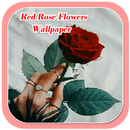 Red Rose Flowers Wallpaper New APK