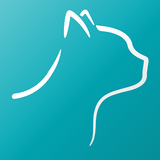 ikon Catspad