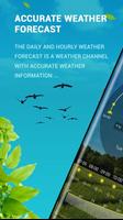 Weather Forecast poster