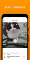 برنامه‌نما What.pet: Dog & Cat Breed ID,  عکس از صفحه